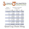 3/4" X 8 Feet, Grade 100, QOS